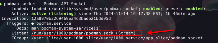 Podman Socket example